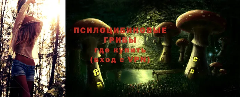 что такое   Братск  Галлюциногенные грибы Magic Shrooms 