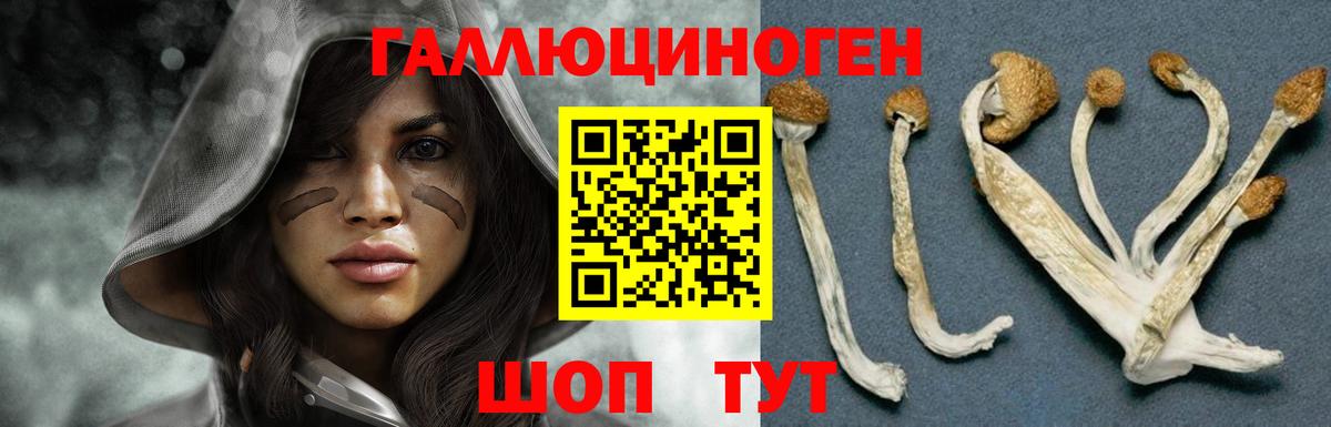 где продают   Галлюциногенные грибы Magic Shrooms  Братск  Галлюциногенные грибы Cubensis 